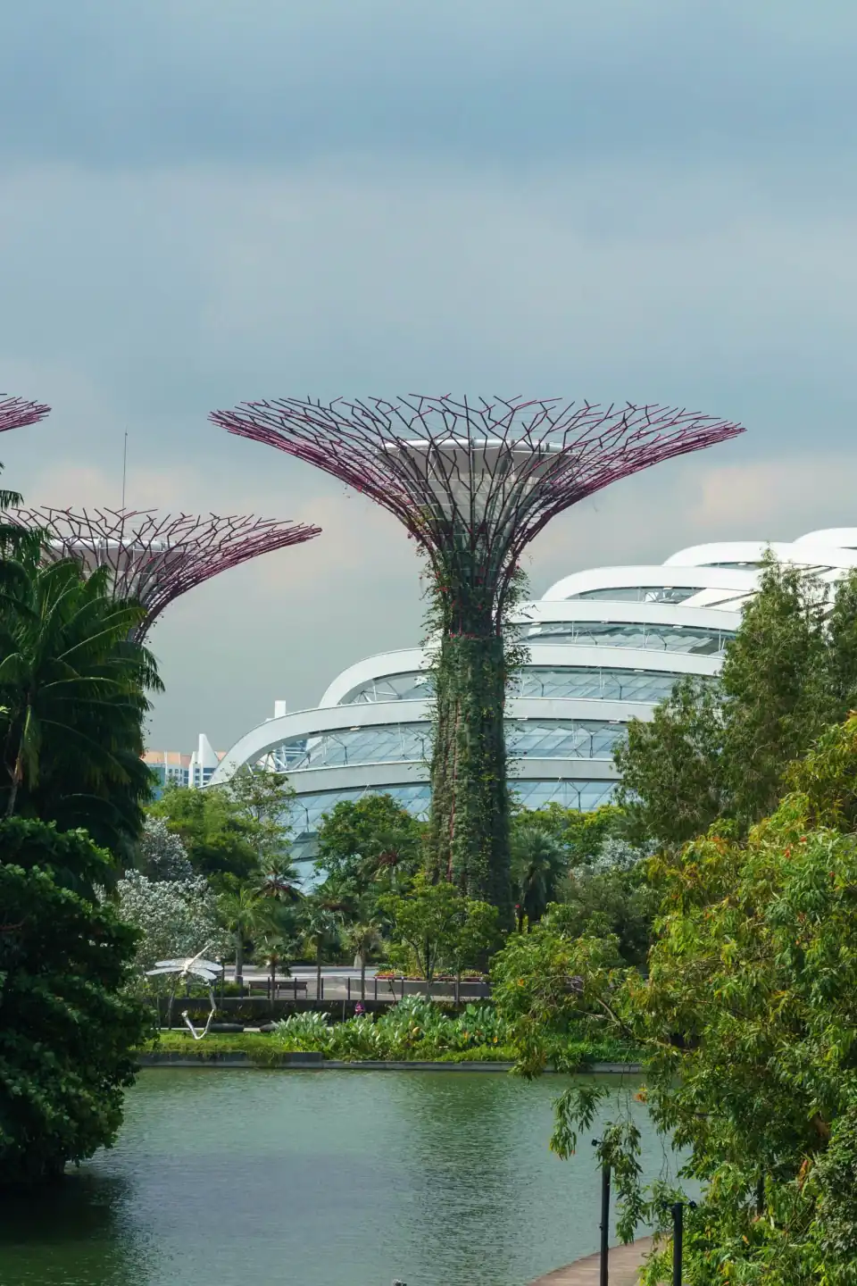 Supertrees at Gardens by the Bay rising above tropical greenery