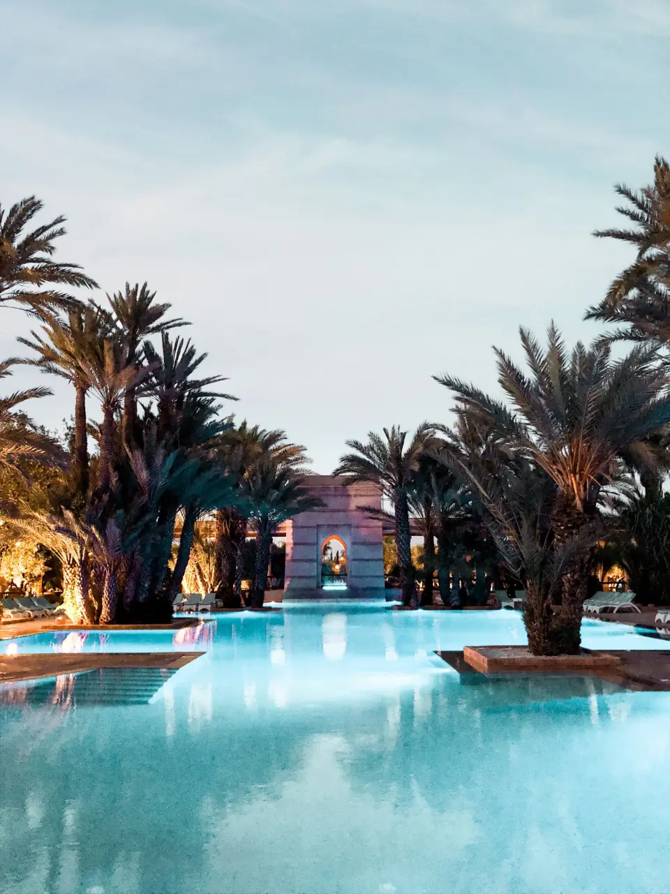 Resort swimming pool lined with tall palm trees under a clear sky